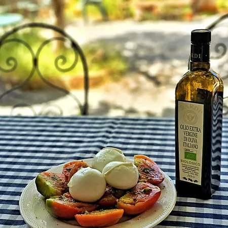 Hébergement de vacances Manufacto *