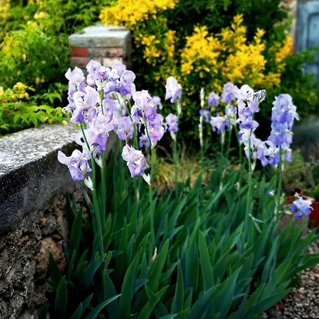 Manufacto Hébergement de vacances Petroio